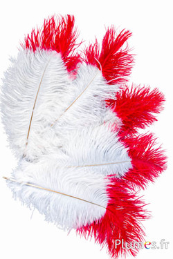 Strauss - 30-40 cm - creme rote Spitze